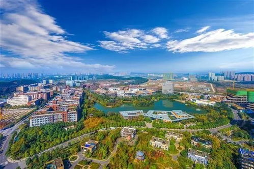 中科招商領銜久久益之星等3機構參與盛齊安定增，打造中國腫瘤治療通信技術開發(fā)獨角獸