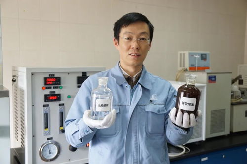 生物技術解決地溝油問題 年處理10萬噸的環(huán)保新途徑