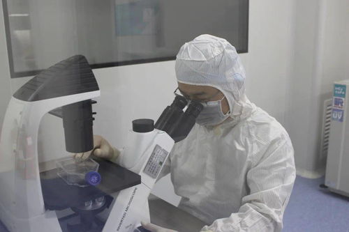 諾未科技 生命科學研究再創(chuàng)新，生物技術研發(fā)新突破