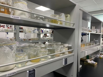 小康夢圓 | 留學(xué)歸國創(chuàng)業(yè)者鄭春陽 以“酶”為筆，在通信技術(shù)開發(fā)中書寫生物企業(yè)的創(chuàng)新故事