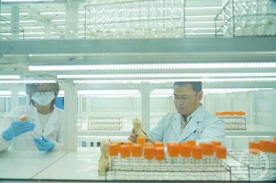 科技創(chuàng)新引領(lǐng)綠色發(fā)展 特種蠶絲、楊樹新品種與長江生態(tài)保護(hù)的協(xié)同探索