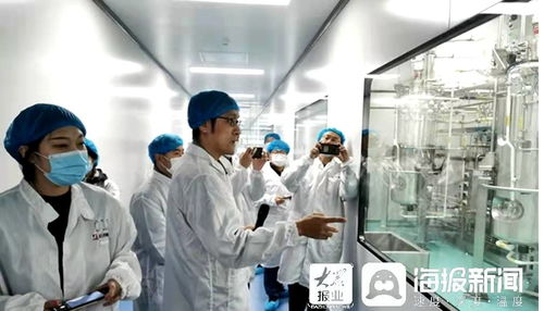 石藥集團(tuán)煙臺生物醫(yī)藥高科技產(chǎn)業(yè)園 打造全國最大生物醫(yī)藥產(chǎn)業(yè)化基地，融合通信技術(shù)開發(fā)新動能