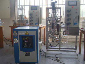 上海百侖生物科技動物細(xì)胞生物反應(yīng)器報(bào)價(jià)及實(shí)驗(yàn)室網(wǎng)絡(luò)通信技術(shù)開發(fā)服務(wù)